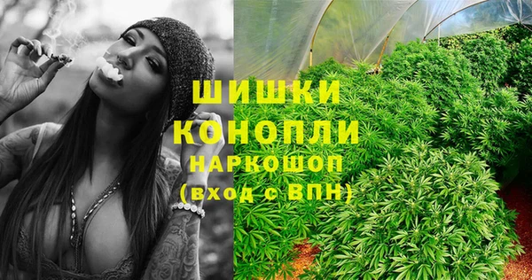 СК Козельск