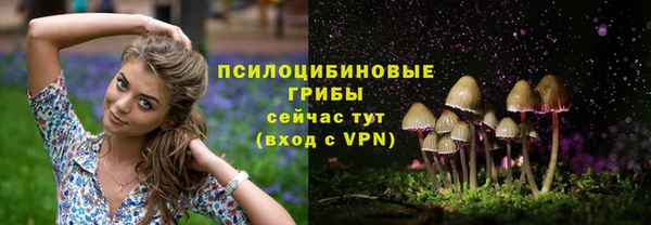 марки nbome Козловка