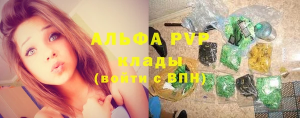 СК Козельск