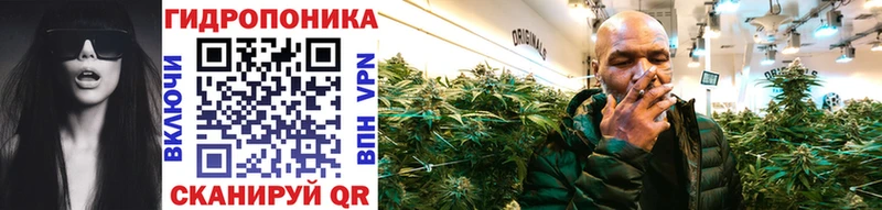 Канабис OG Kush  Купить  Ростов 